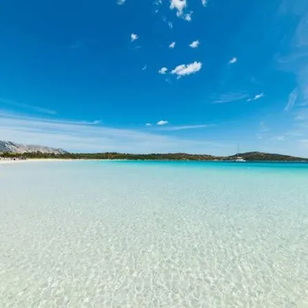 53-11 Cin R3659 Apartment Olbia