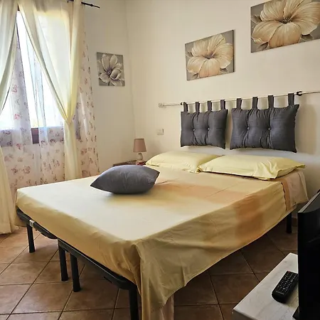 53-11 Cin R3659 Olbia