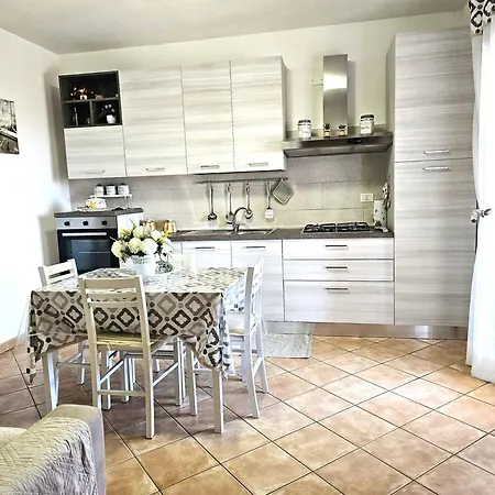 53-11 Cin R3659 * Olbia