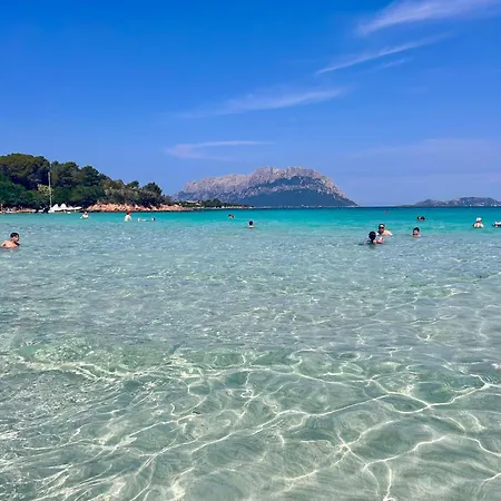 53-11 Olbia